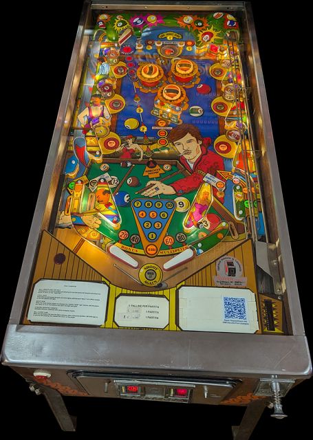 Pool Champion