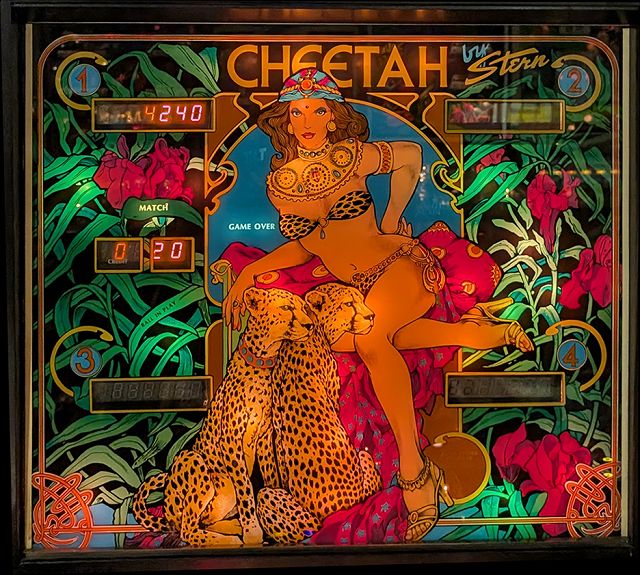 Cheetah