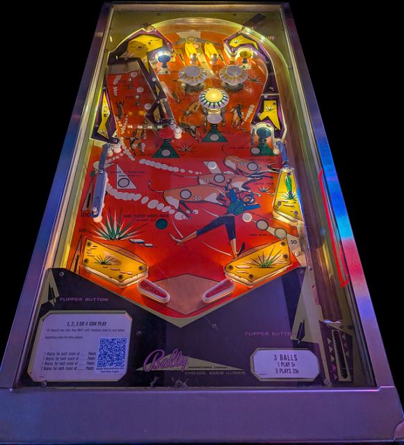 Dogies pinball machine