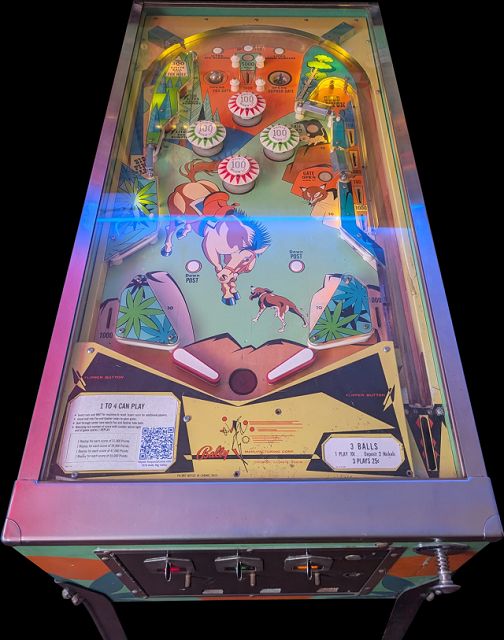 Big Valley pinball machine