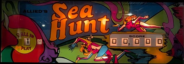 Sea Hunt