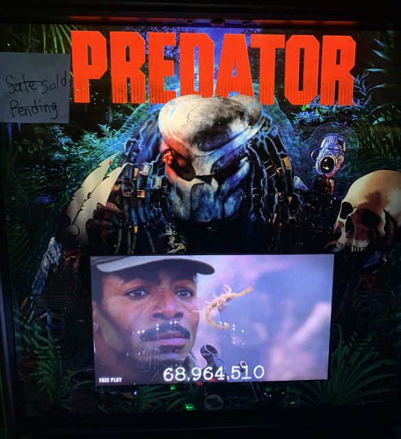 Predator