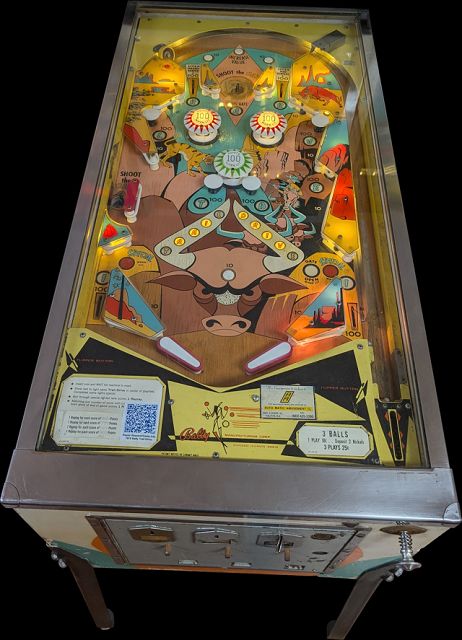 Trail Drive pinball machine